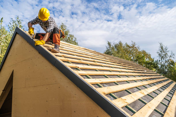 Best Gutter Installation and Roofing  in Royse City, TX