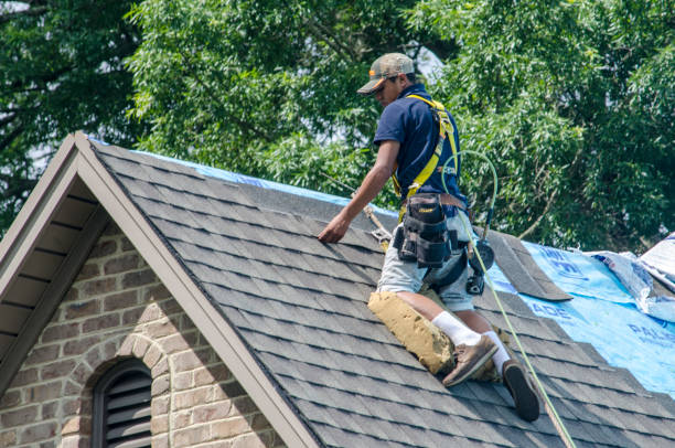 Best Residential Roofing Contractor  in Royse City, TX